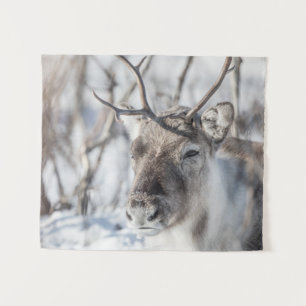 Rentier Nature Foto Wandteppich