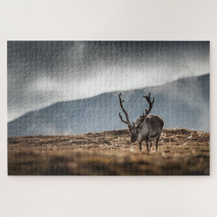 Rentier Naturfoto Puzzle