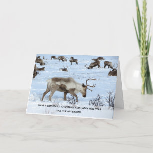 Rentier Stags Weihnachtsgebäck Personalisiert Feiertagskarte