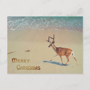 Rentiere am Strand surreal Frohe Weihnachten Postkarte