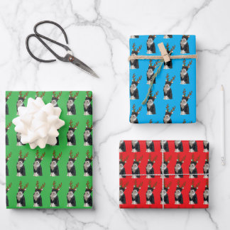 Rentiere Calliope Geschenkpapier Set