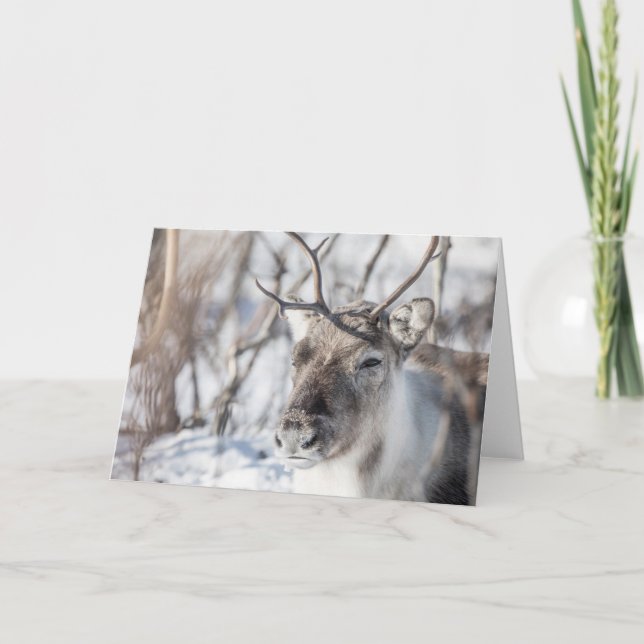 Rentierfaltenkarte Karte (Vorderseite)