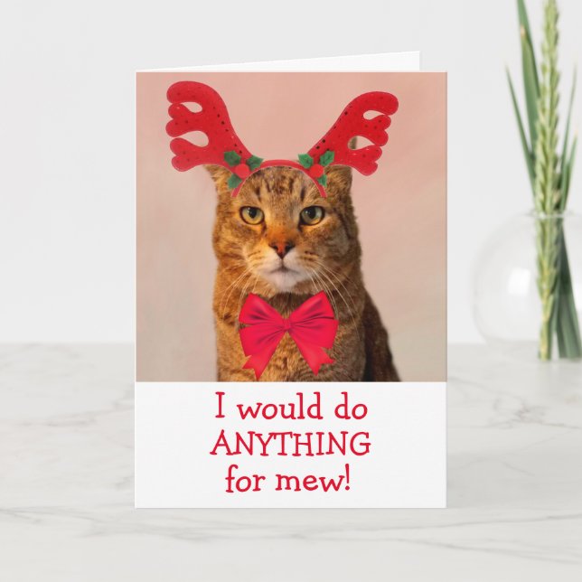 Rentierkatze in Liebe Weihnachten (Vorderseite)