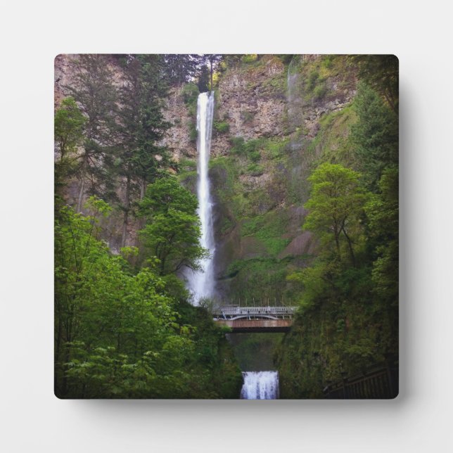 Reparatur der Multnomah Falls Bridge, OR Fotoplatte (Vorderseite)