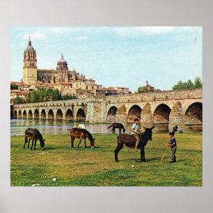 Replik Alt Spanien, Salamanca, Kathedrale Poster