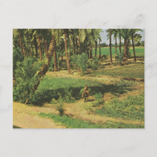 Replik Vintages Ägypten, Nildelagrarwirtschaft Postkarte
