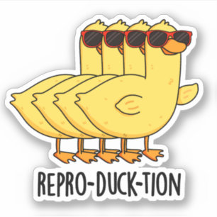 Repro-duck-tion Funny Animal Duck Pun Aufkleber