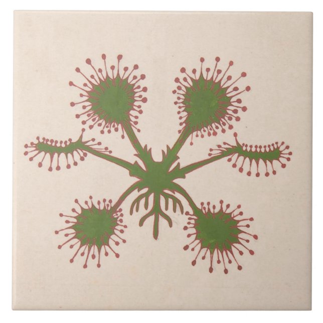 Repro Vintage Blumenprint-Fliese Fliese (Vorderseite)