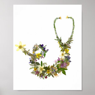 Reproduction Pressed Blume Stethoscope Nurse Poster