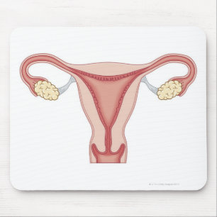Reproduktionssystem bei Frauen 2 Mousepad
