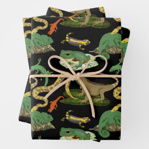 Reptil, Lizards und Amphibienmuster Geschenkpapier Set