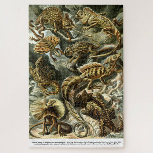 Reptile Lizards von Ernst Haeckel Puzzle