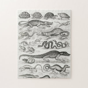 Reptiles Alligators Puzzle