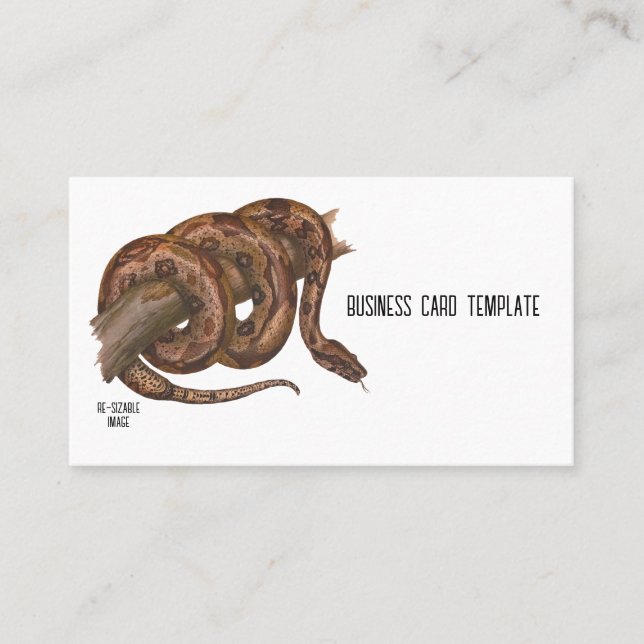 Reptiles Boa Constrictor Snake Business Card Visitenkarte (Vorderseite)