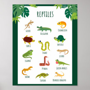 Reptiles School Bildung Learning Poster