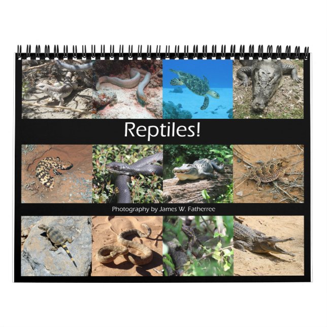 Reptiles Wall Calendar von J.W. Vater. Kalender (Titelbild)