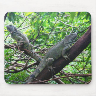 Reptilian-Ruhe Mousepad