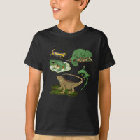 Reptilien, Eidechsen und Amphibien