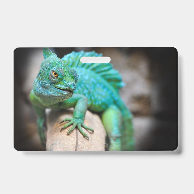 Reptilien, Natur, Eidechsen Ausweis (Vorderseite)