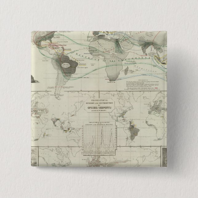 Reptilien, Ophidia Button (Vorderseite)