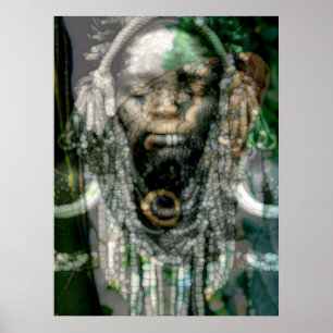 Reptilien-Schamane 5 Poster