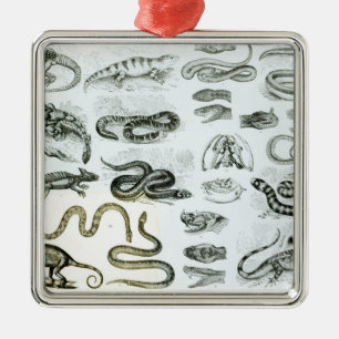 Reptilien, Schlangen und Eidechsen Ornament Aus Metall