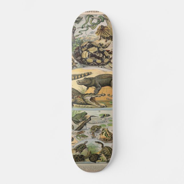 Reptilien Skateboard (Vorderseite)