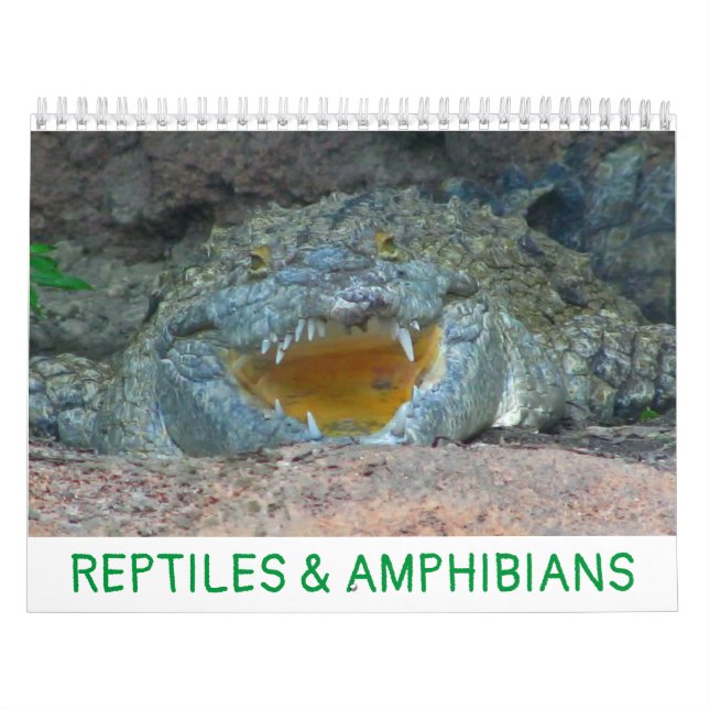 Reptilien und Amphibienkalender Kalender (Titelbild)