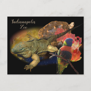Reptilien und Vögel aus Indianapolis Zoo Postkarte