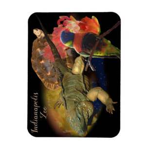 Reptilien und Vögel von Indianapolis-Zoo Magnet