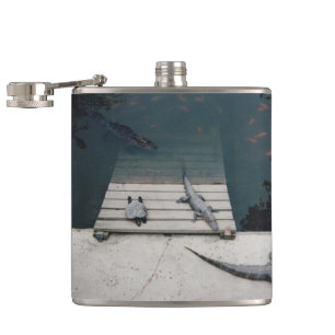 Reptiliengehäuse Flachmann