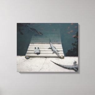 Reptiliengehäuse Leinwanddruck