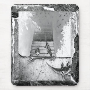 Reptiliengehäuse Mousepad