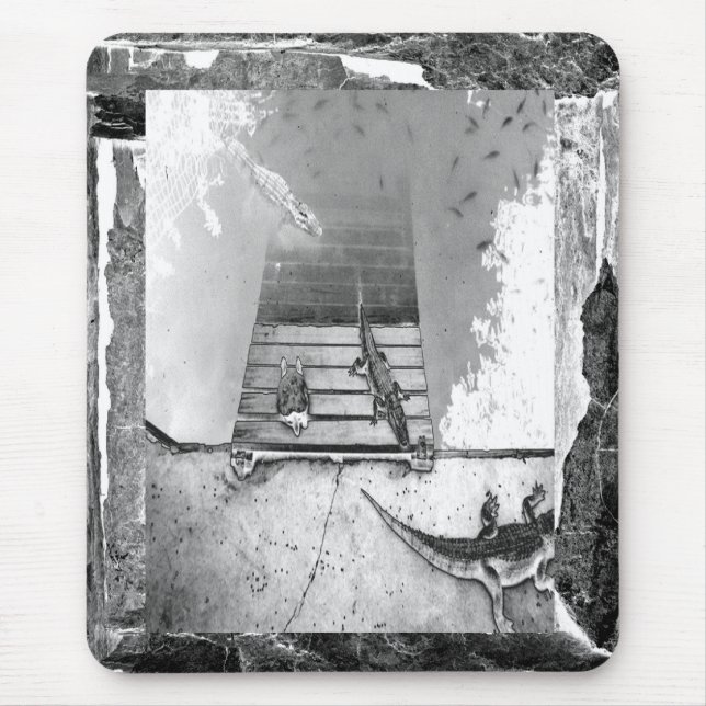 Reptiliengehäuse Mousepad (Vorne)