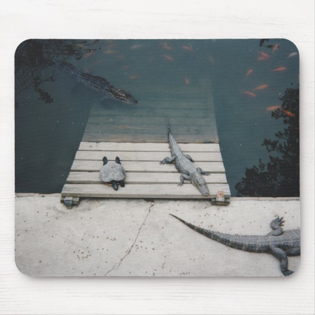 Reptiliengehäuse Mousepad (Vorne)