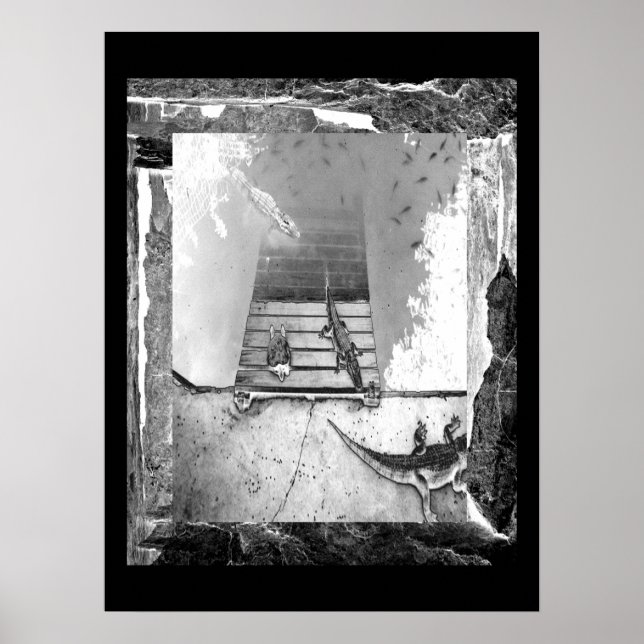 Reptiliengehäuse Poster (Vorne)