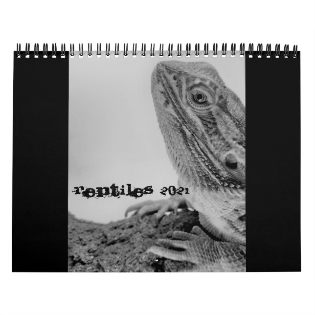 Reptilienkalender 2021 kalender (Titelbild)