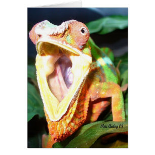 Reptilienkarte