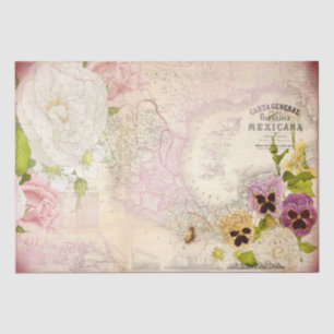 Republica Mexicana Karte Dekoupage Tissue Paper Seidenpapier