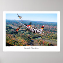 Republik P-47 Thunderbolzen
