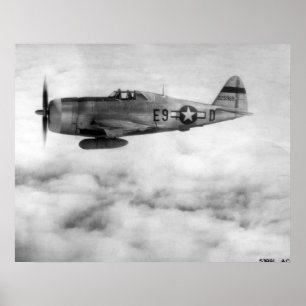 Republik P-47 Thunderbolzen Poster