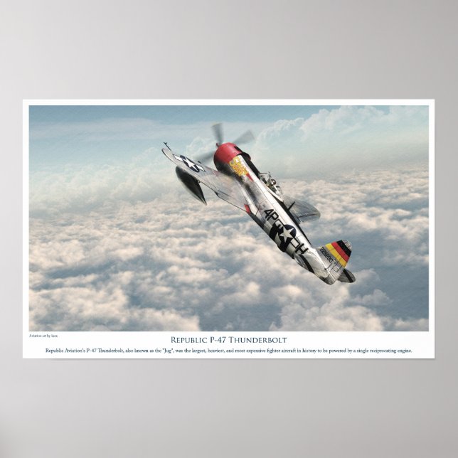Republik P-47 Thunderbolzen Poster (Vorne)