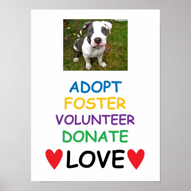 Rescue Dog Poster, Adoptiert Liebe Poster (Vorne)