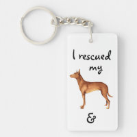 Rescue Pharaoh Hound