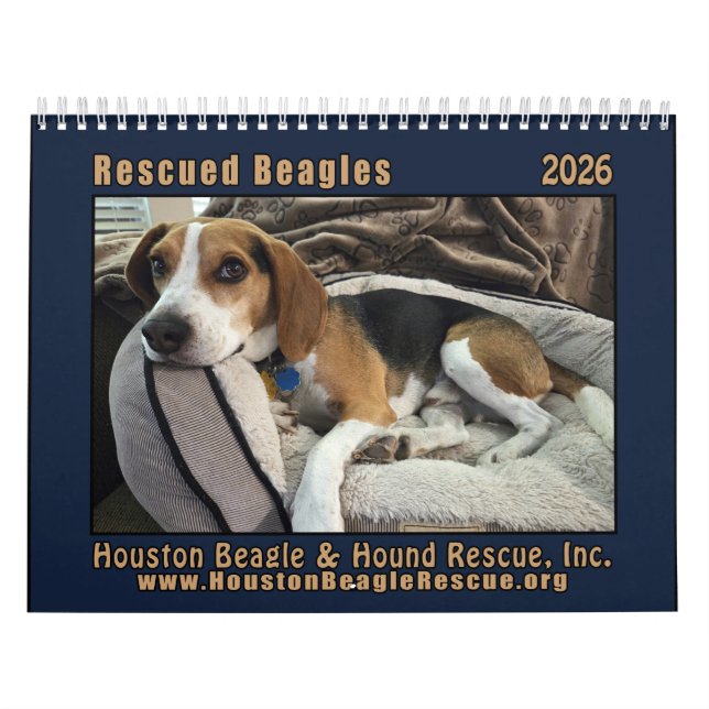 Rescued Beagles 2026 Wall Calendar Kalender (Titelbild)