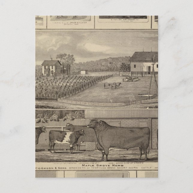 Residenzen, Gebäude & Kirchen Postkarte (Vorderseite)