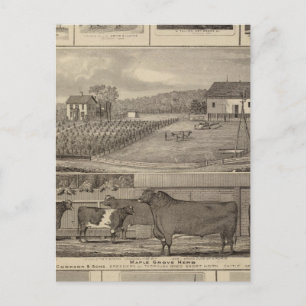 Residenzen, Gebäude & Kirchen Postkarte