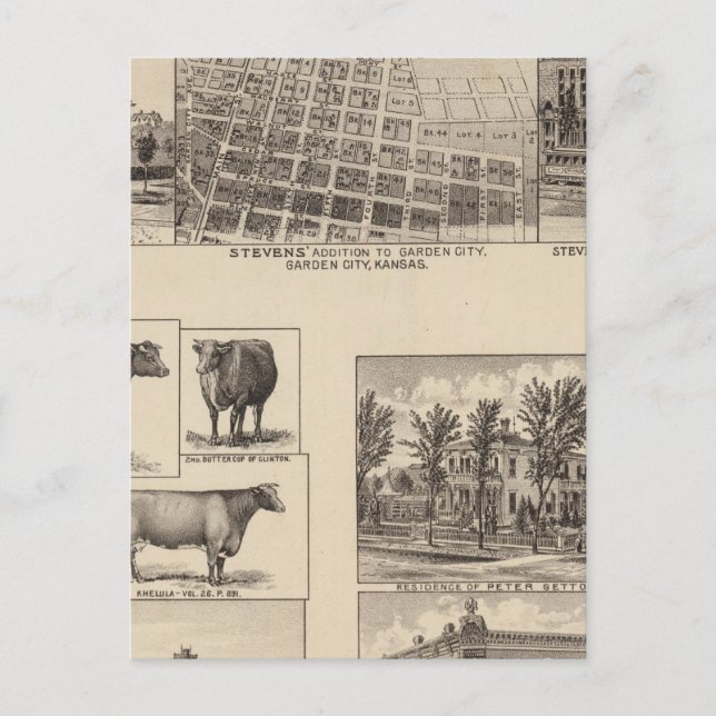 Residenzen in Kansas Postkarte (Vorderseite)