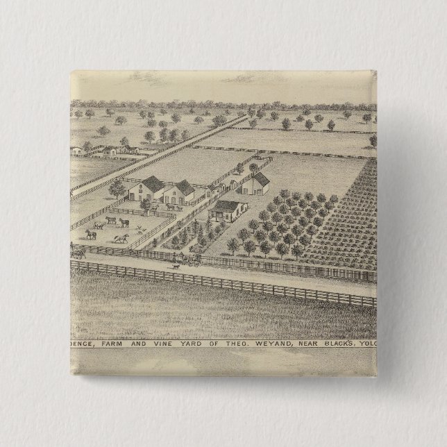 Residenzen, Schwarzer Bahnhof Button (Vorderseite)