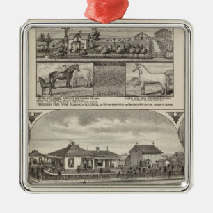 Residenzen und landwirtschaftliche Betriebe, Welli Silbernes Ornament